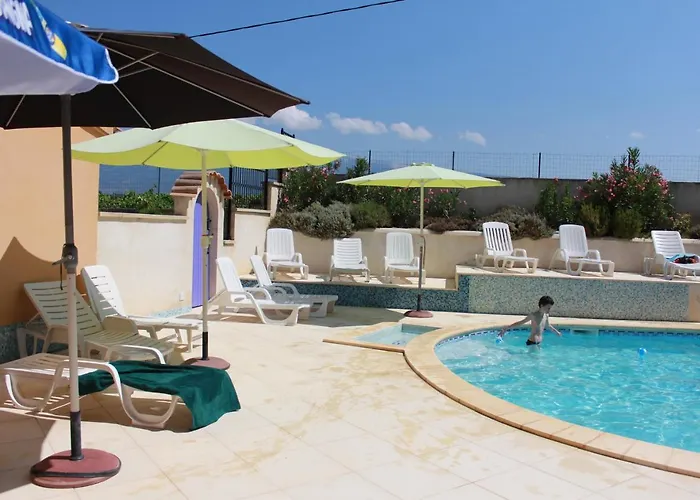 Vacances En Provence Olivier