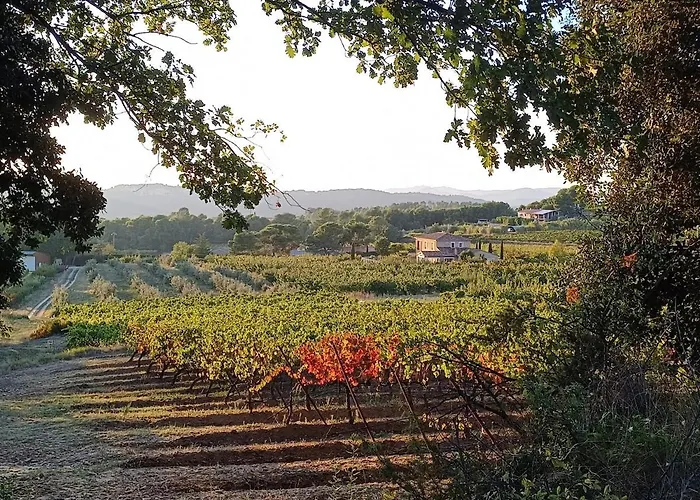 Gite Au Calme, Sur Domaine Vinicole Avec Piscine Chauffee Partagee Ideal Rando Et Velo